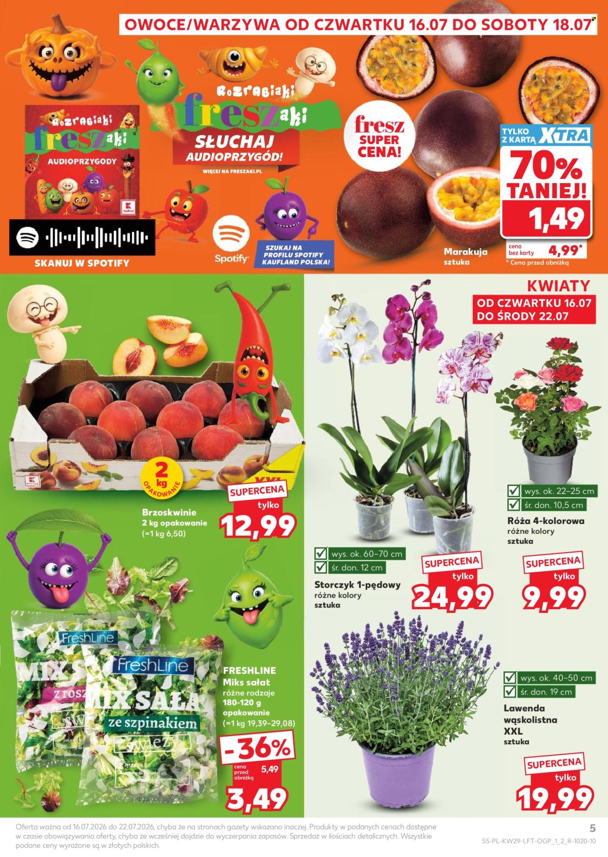 Gazetka Kaufland - 16.7.2026. - 22.7.2026.. Strona 5