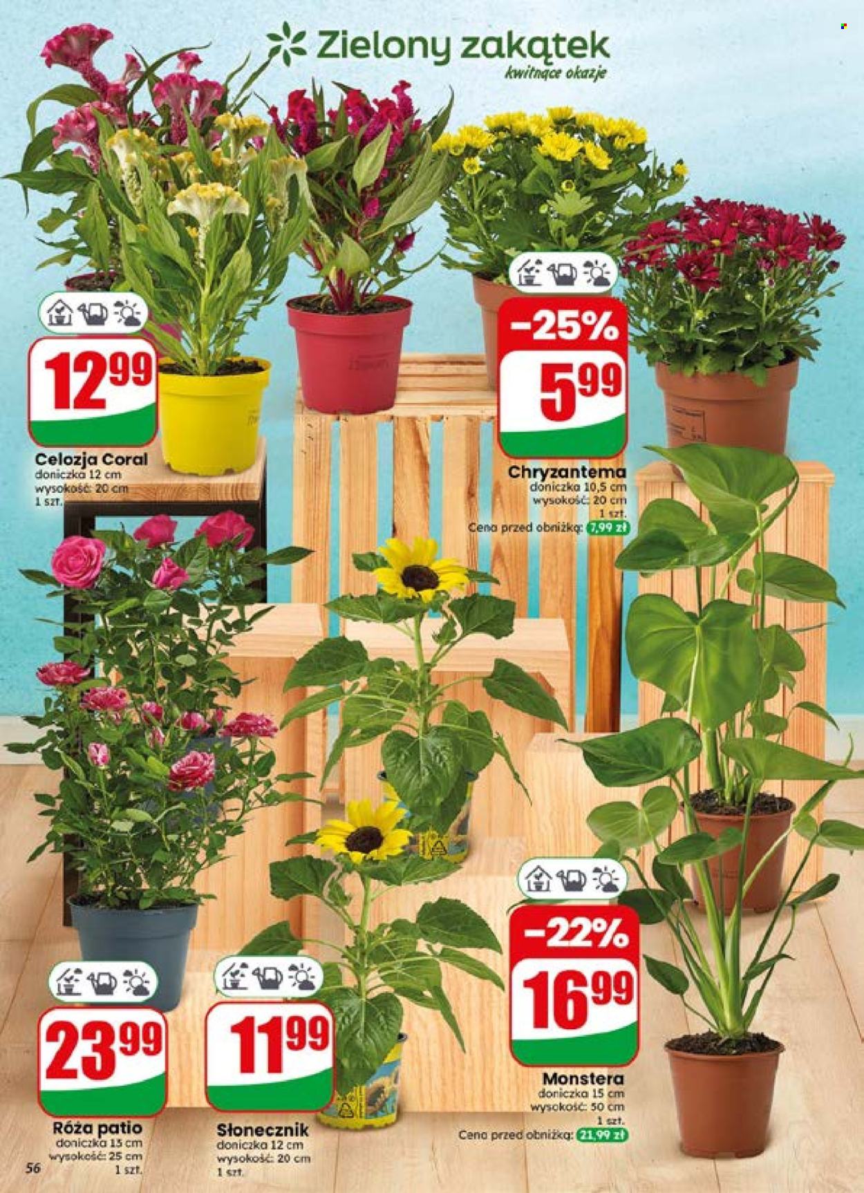 Gazetka Dino - 15.7.2026. - 21.7.2026.. Strona 56