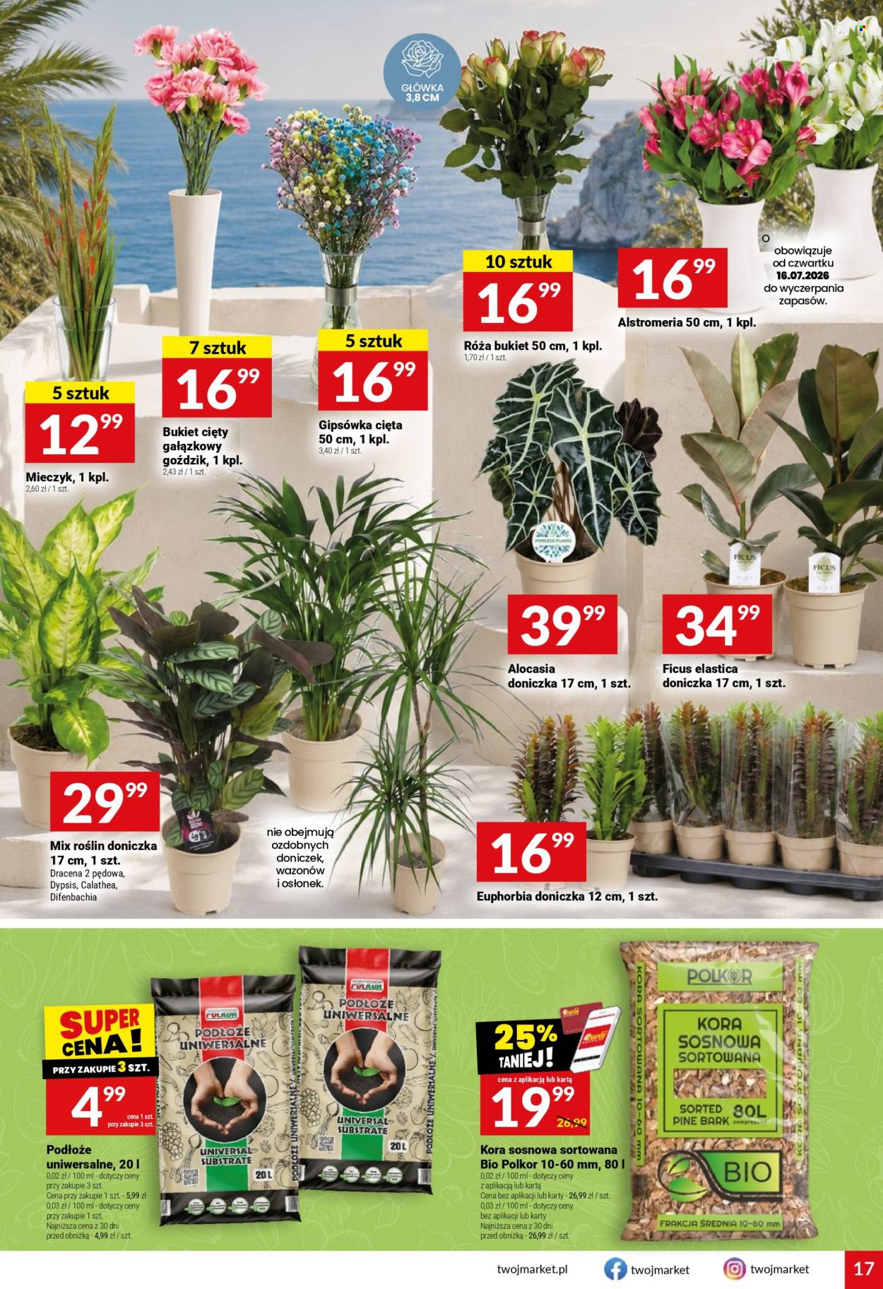 Gazetka Twój Market - 15.7.2026. - 21.7.2026.. Strona 17