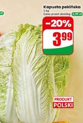 Kapusta pekińska