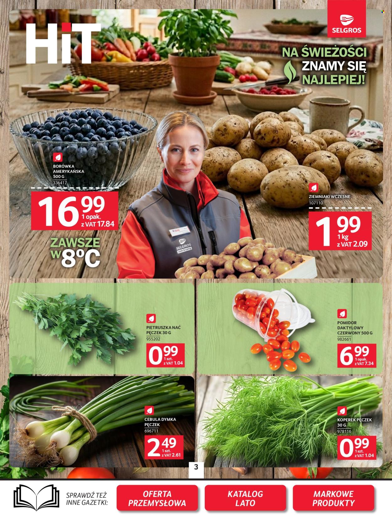 Gazetka Selgros - 16.7.2026. - 29.7.2026.. Strona 3
