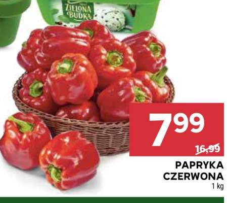 Papryka czerwona