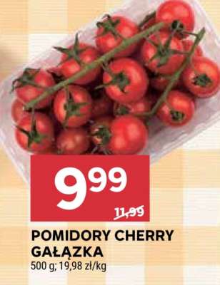 Pomidory cherry – gałązka