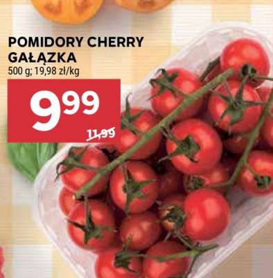Pomidory cherry – gałązka