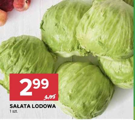 Sałata lodowa