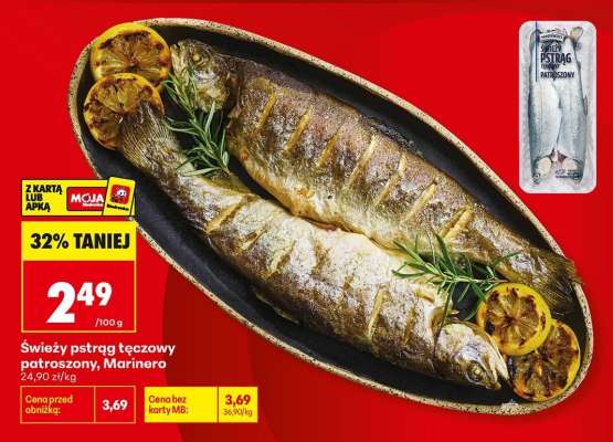 Świeży pstrąg tęczowy patroszony Marinero