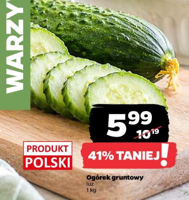 Ogórek gruntowy