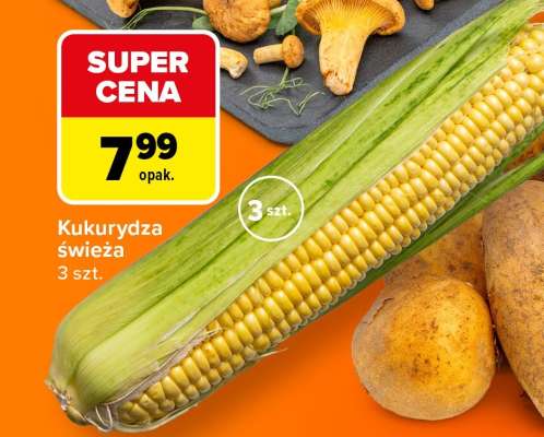 Kukurydza świeža