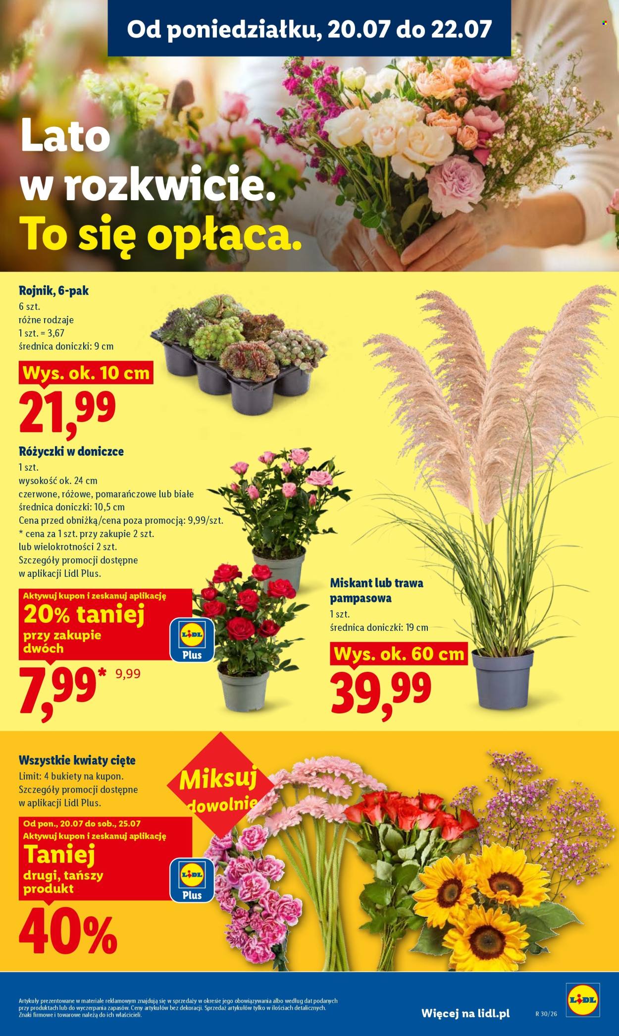 Gazetka Lidl - 20.7.2026. - 22.7.2026.. Strona 99