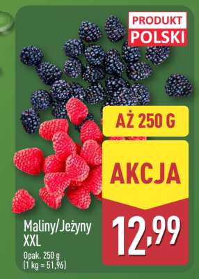 Maliny/Jeżyny XXL