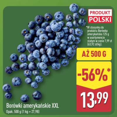 Borówki amerykańskie XXL