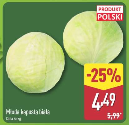 Młoda kapusta biała