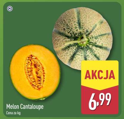 Melon CANTALOUPE