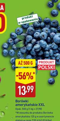 Borówki amerykańskie XXL