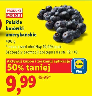 Polskie borówki amerykańskie