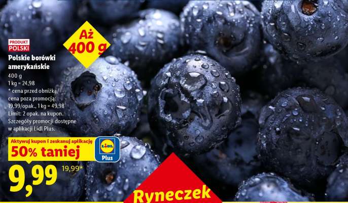 Polskie borówki amerykańskie