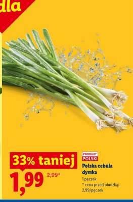 Polska cebula dymka