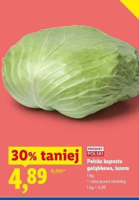 Polska kapusta gołąbkowa, luzem
