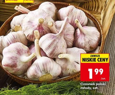 Czosnek polski młody, szt.