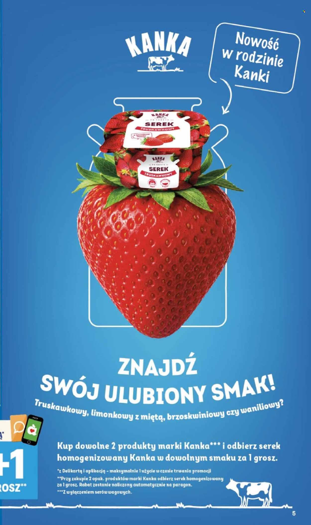Gazetka Delikatesy Centrum - 13.8.2026. - 19.8.2026.. Strona 5