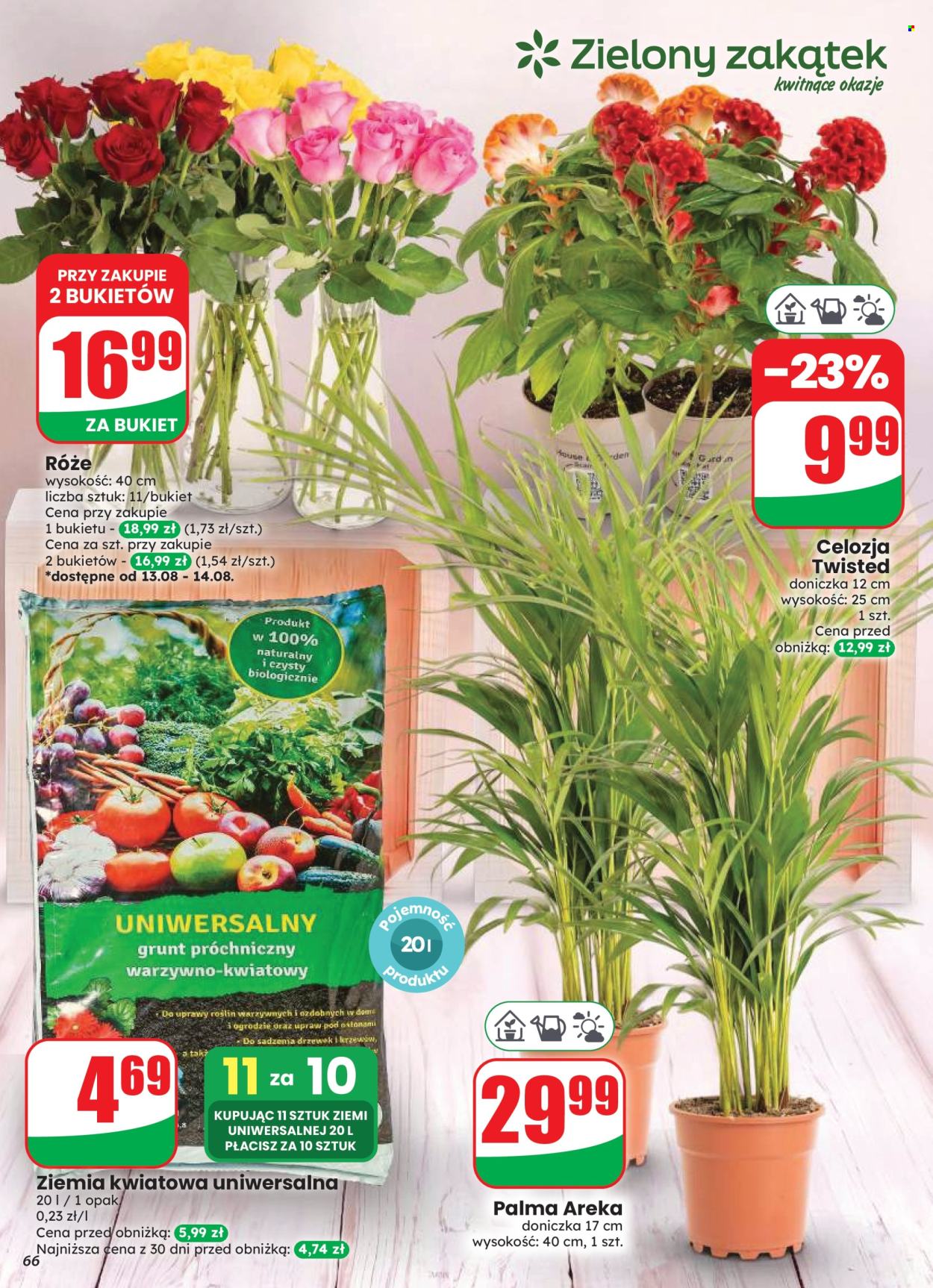Gazetka Dino - 12.8.2026. - 18.8.2026.. Strona 66