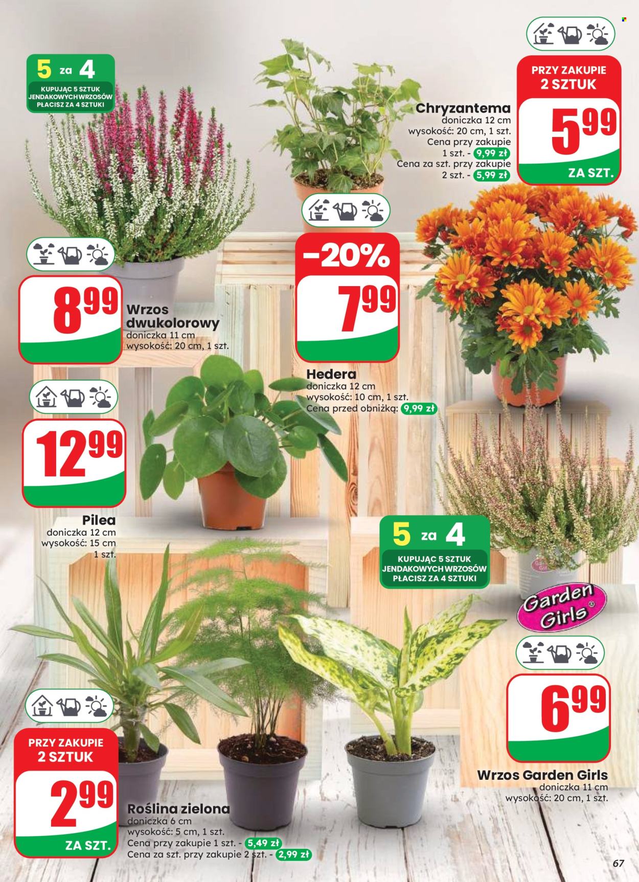Gazetka Dino - 12.8.2026. - 18.8.2026.. Strona 67