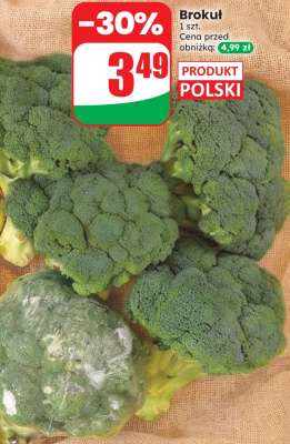 Brokuł