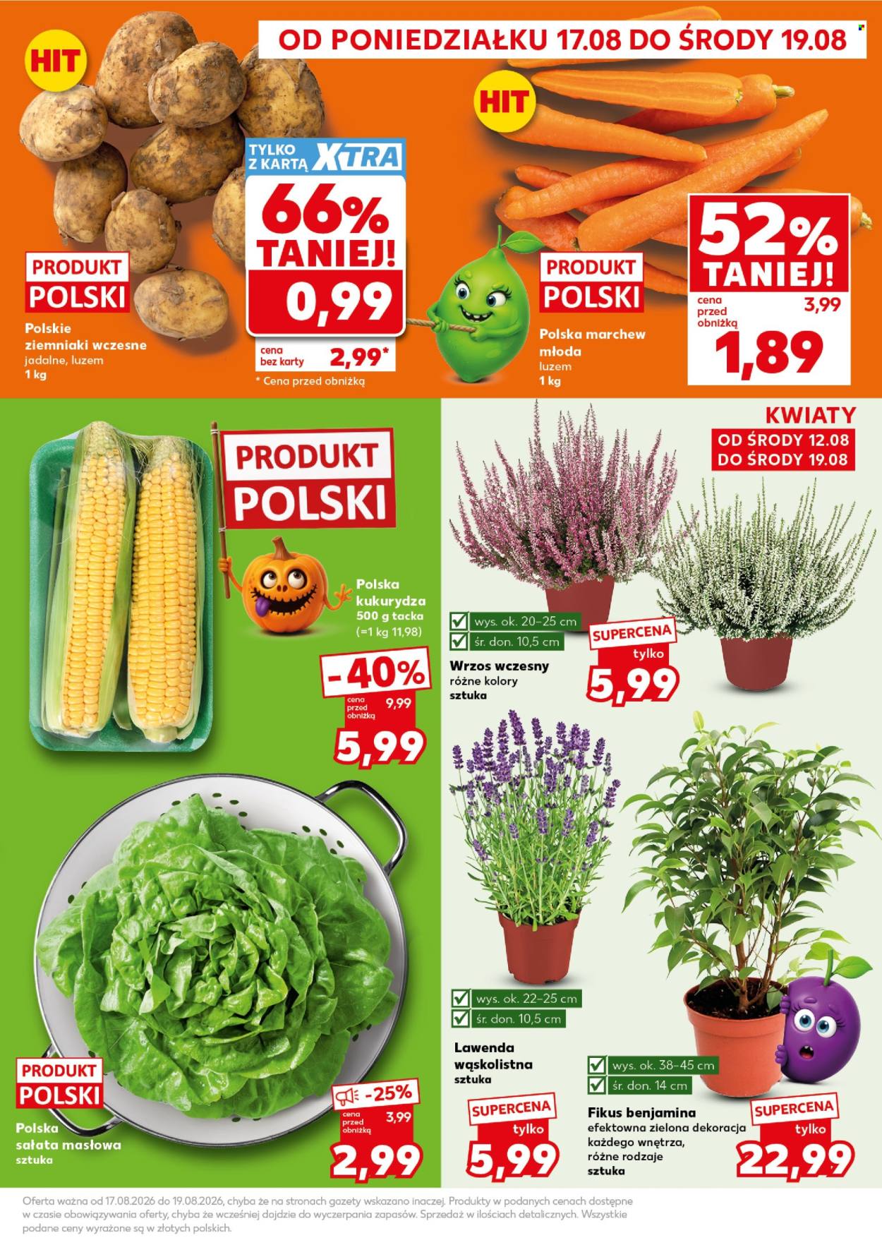 Gazetka Kaufland - 17.8.2026. - 19.8.2026.. Strona 3