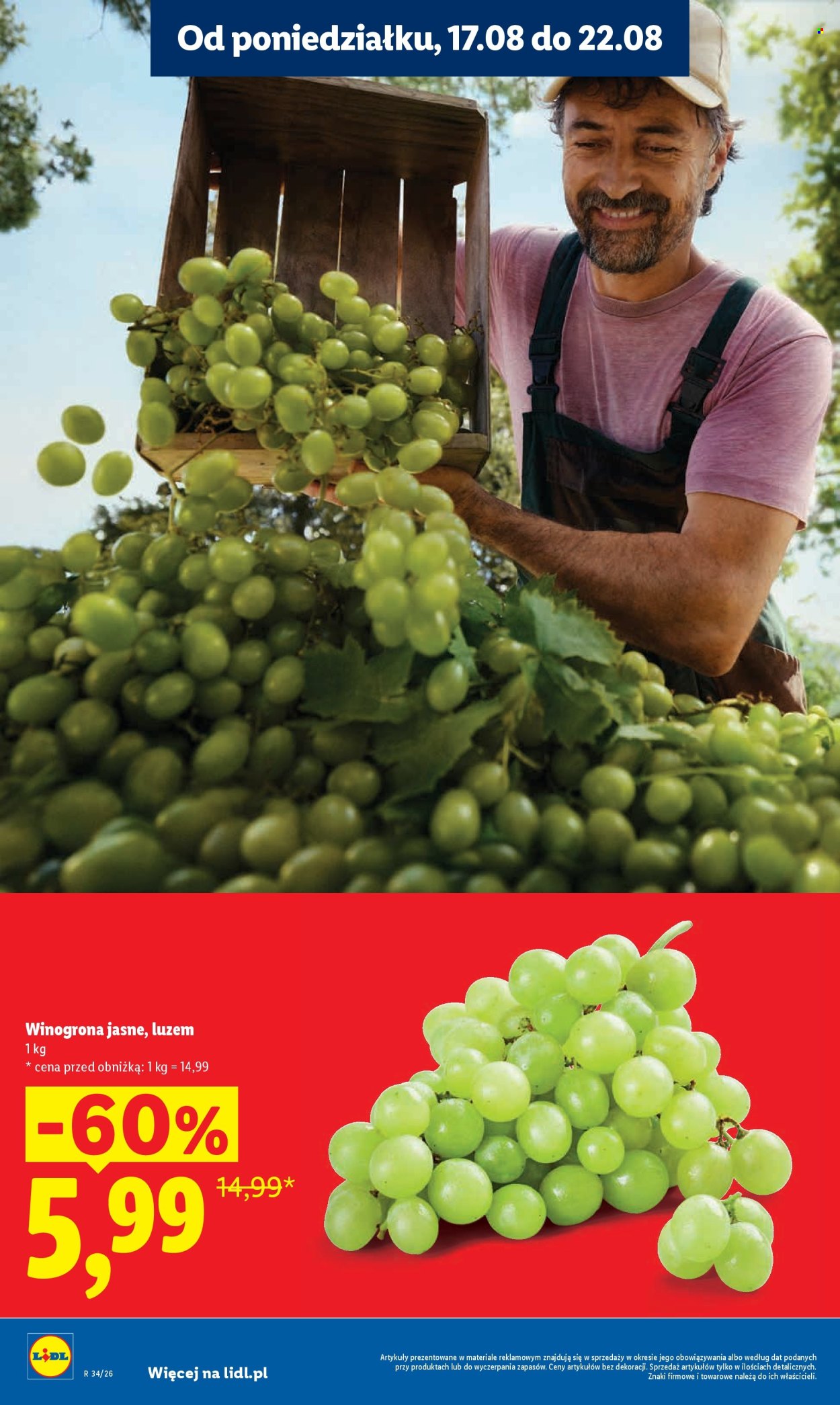 Gazetka Lidl - 17.8.2026. - 19.8.2026.. Strona 16