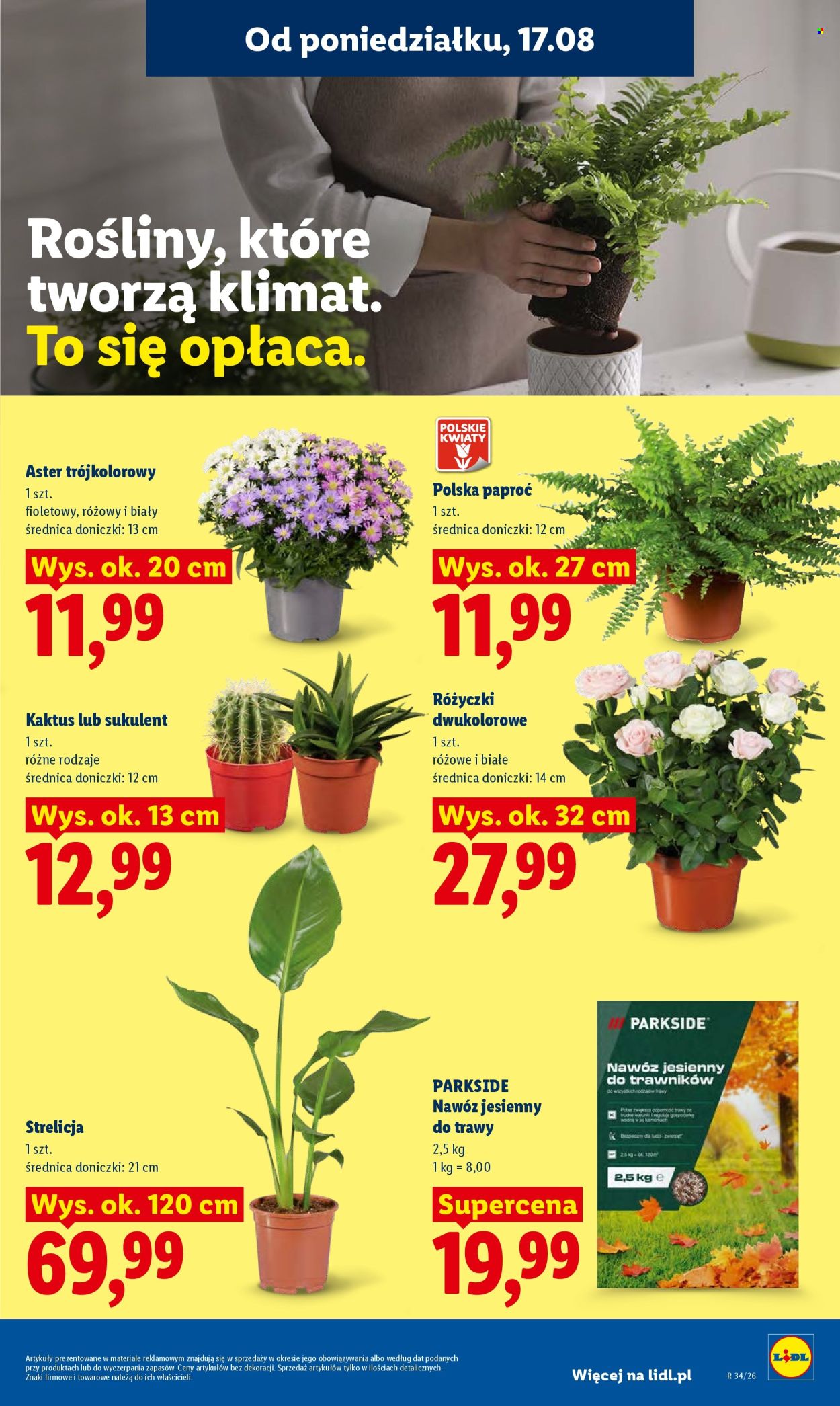 Gazetka Lidl - 17.8.2026. - 19.8.2026.. Strona 77
