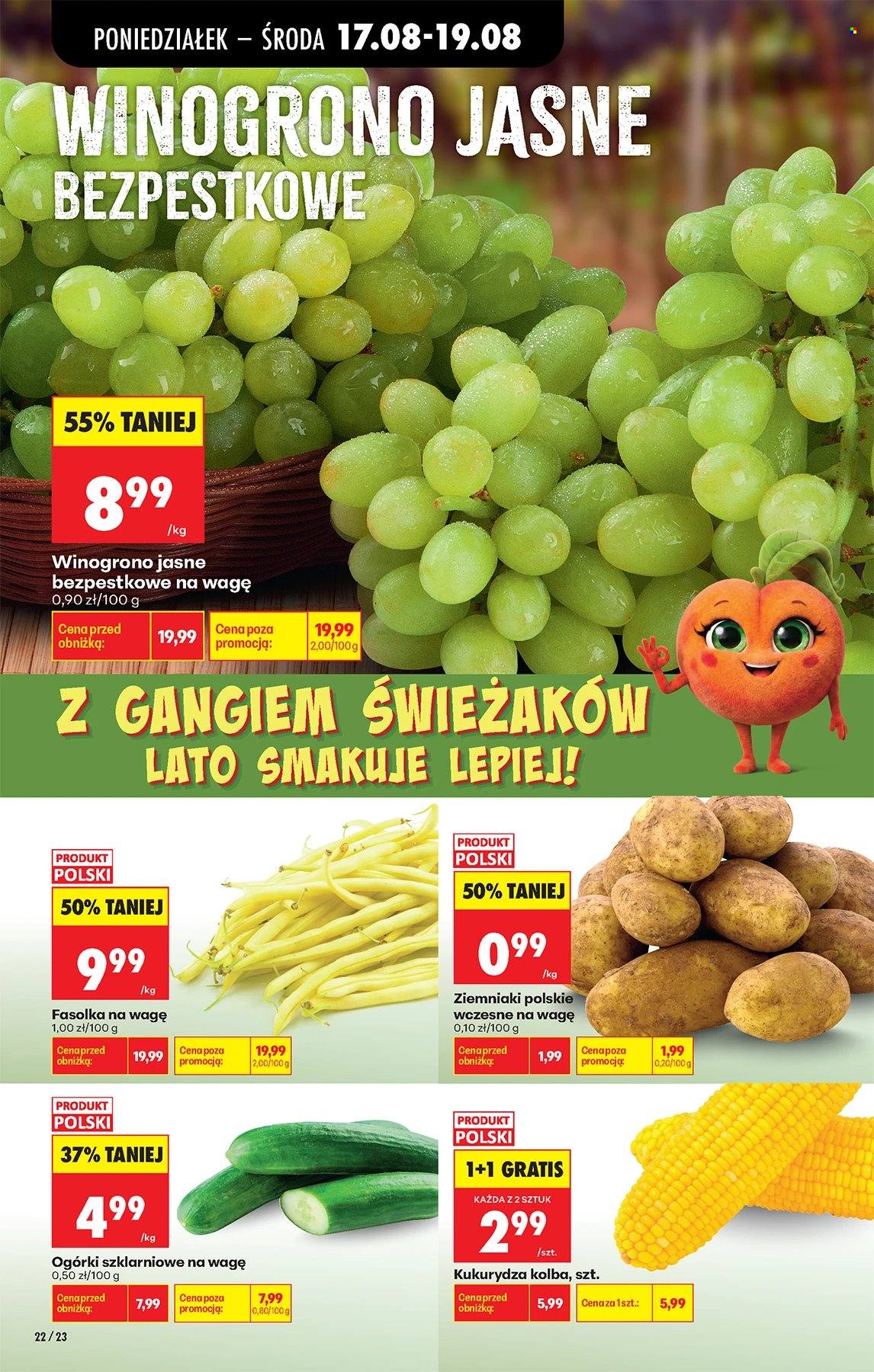 Gazetka Biedronka - 17.8.2026. - 22.8.2026.. Strona 22