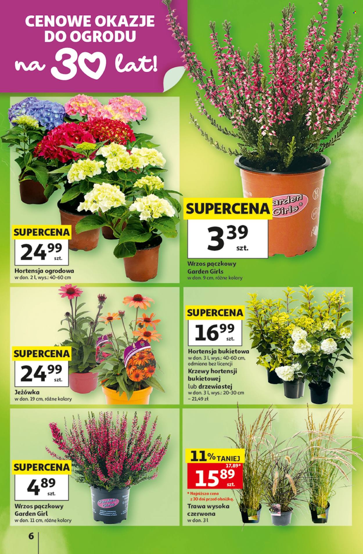 Gazetka Auchan - 20.8.2026. - 26.8.2026.. Strona 6