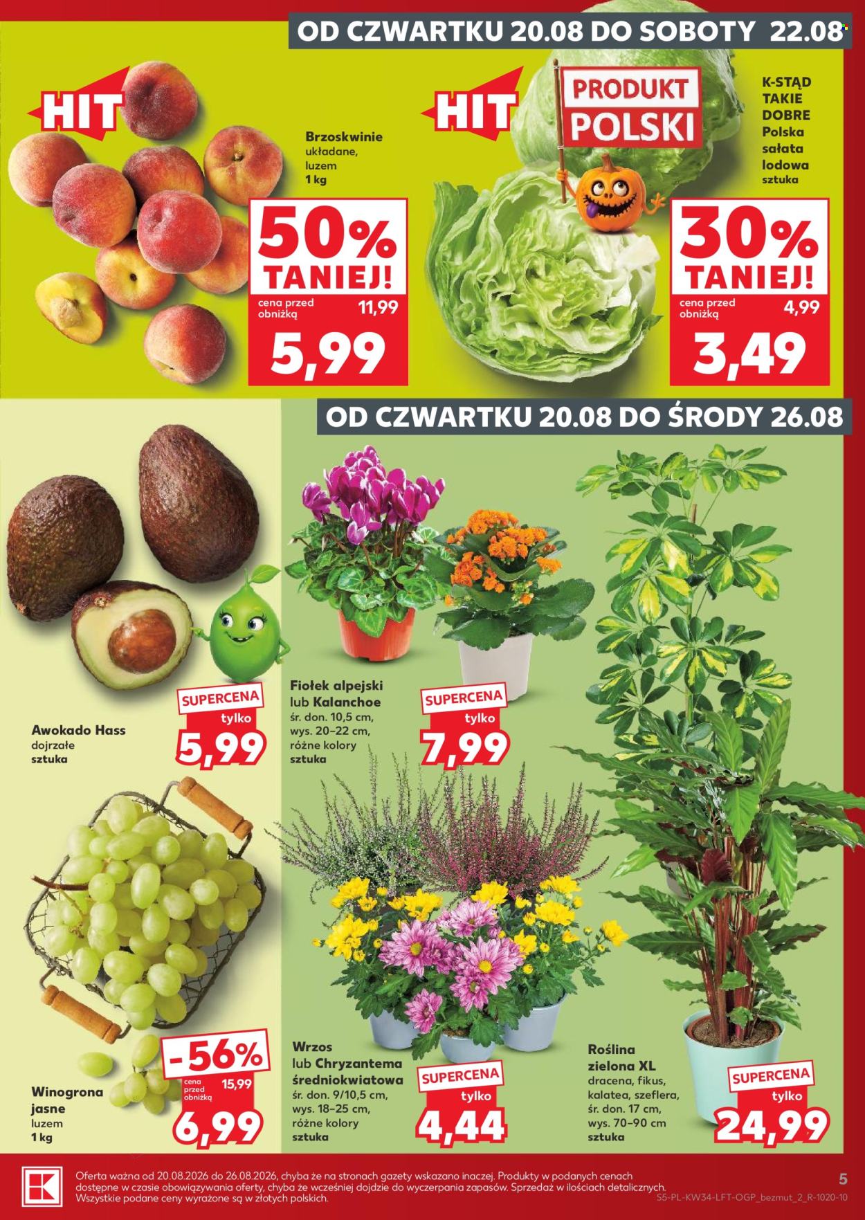 Gazetka Kaufland - 20.8.2026. - 26.8.2026.. Strona 5