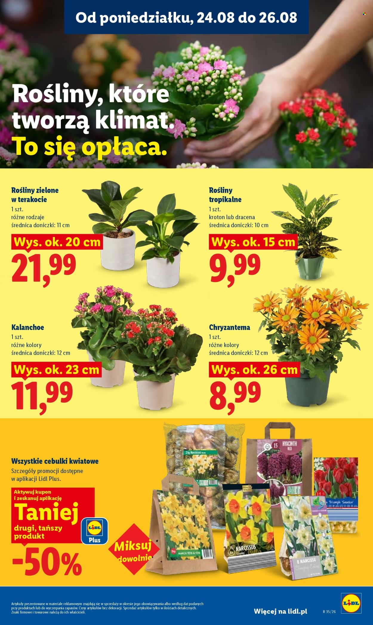 Gazetka Lidl - 24.8.2026. - 26.8.2026.. Strona 85