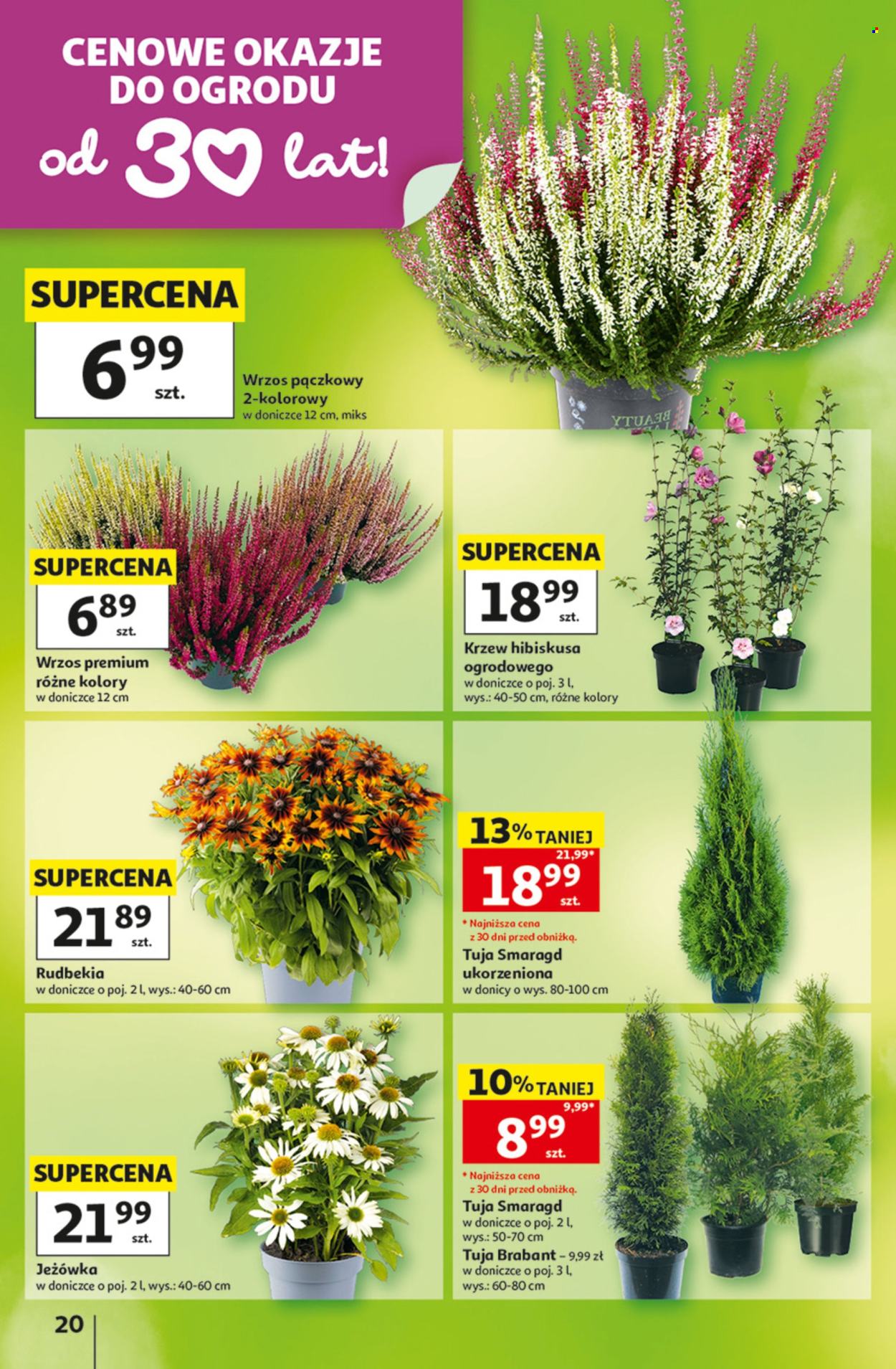 Gazetka Auchan - 27.8.2026. - 2.9.2026.. Strona 20