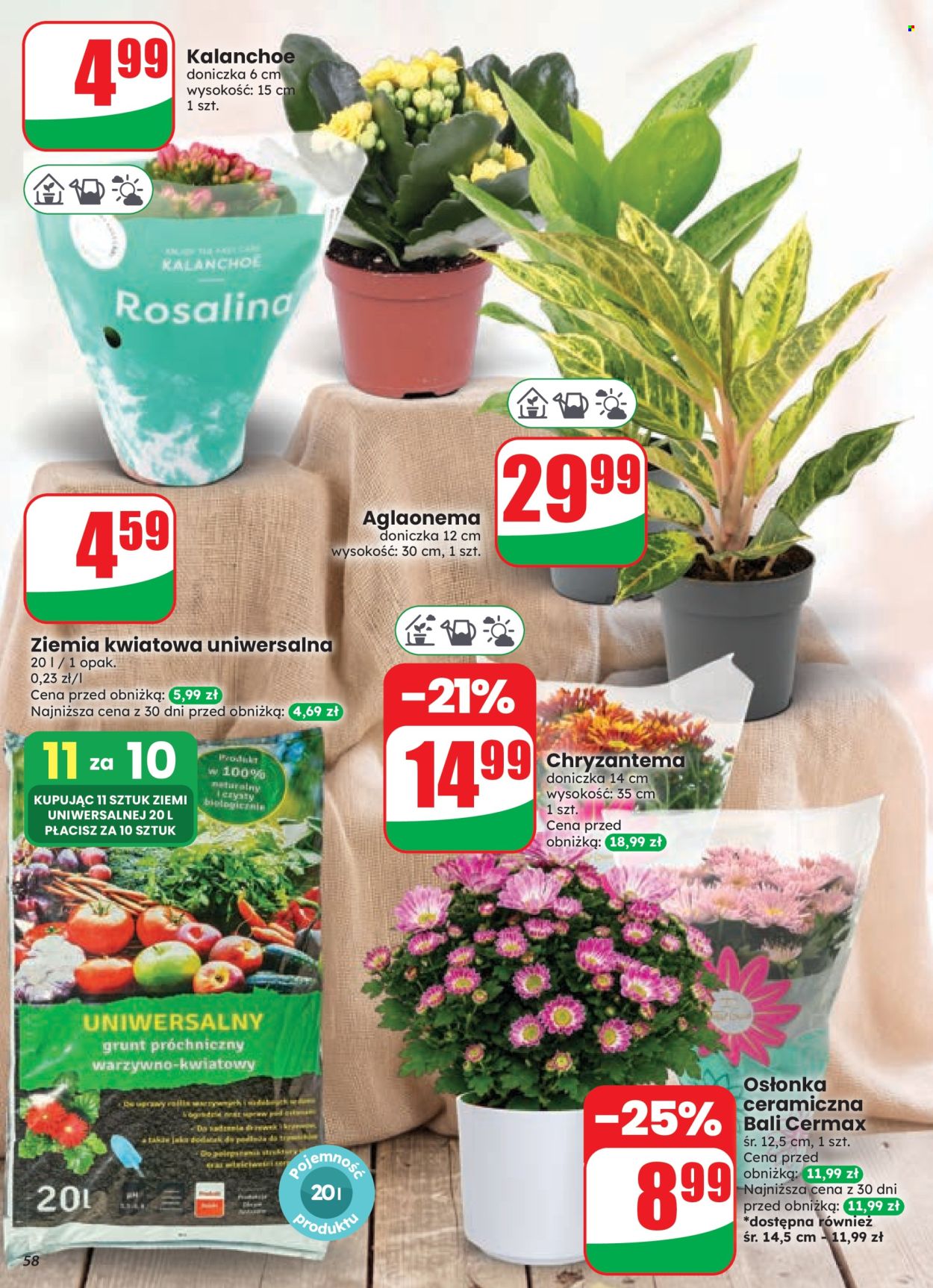 Gazetka Dino - 26.8.2026. - 1.9.2026.. Strona 58