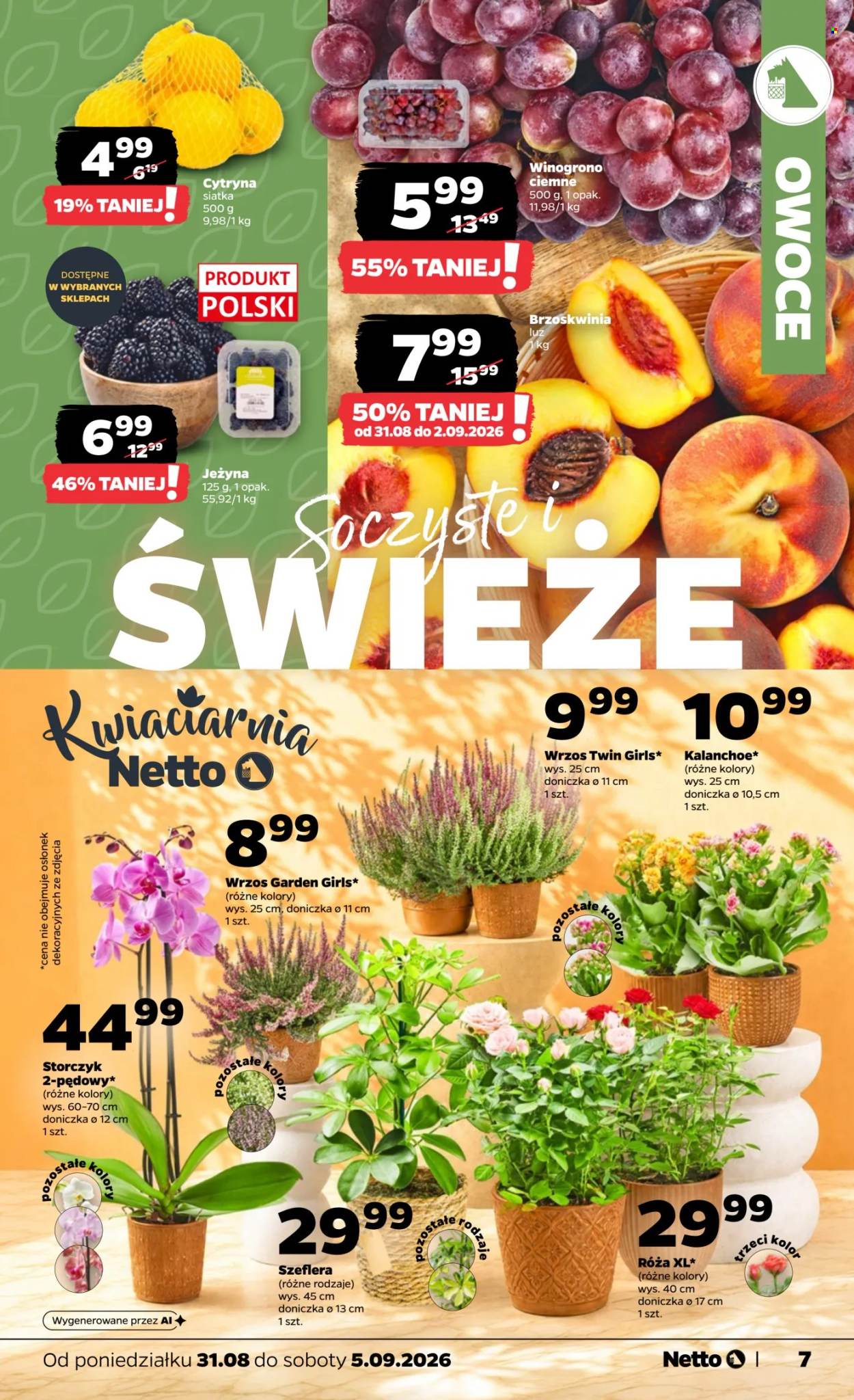 Gazetka Netto - 31.8.2026. - 5.9.2026.. Strona 7