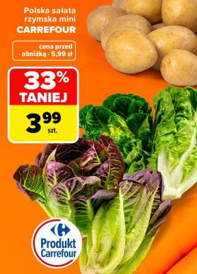 Polska sałata rzymska mini CARREFOUR