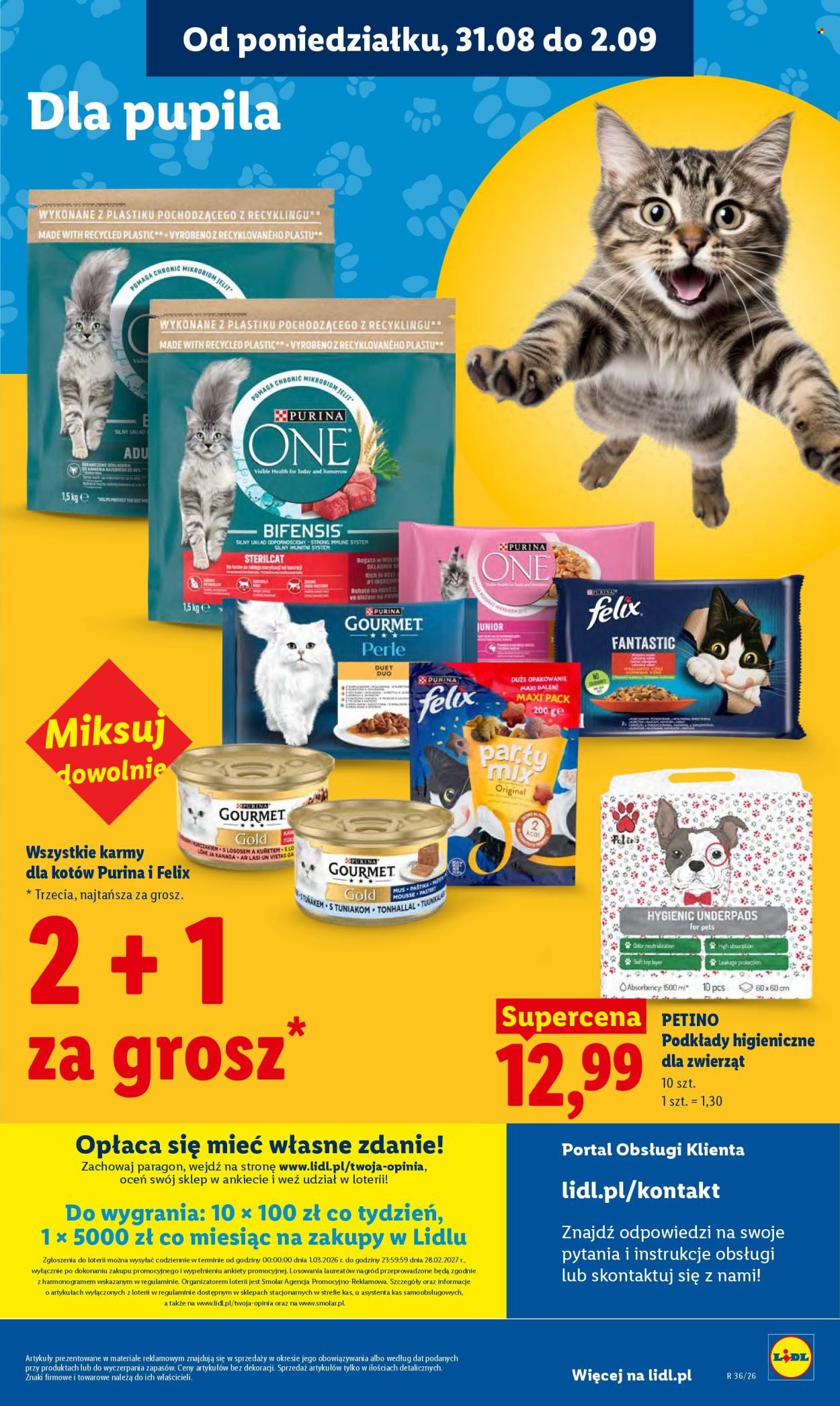 Gazetka Lidl - 31.8.2026. - 2.9.2026.. Strona 85
