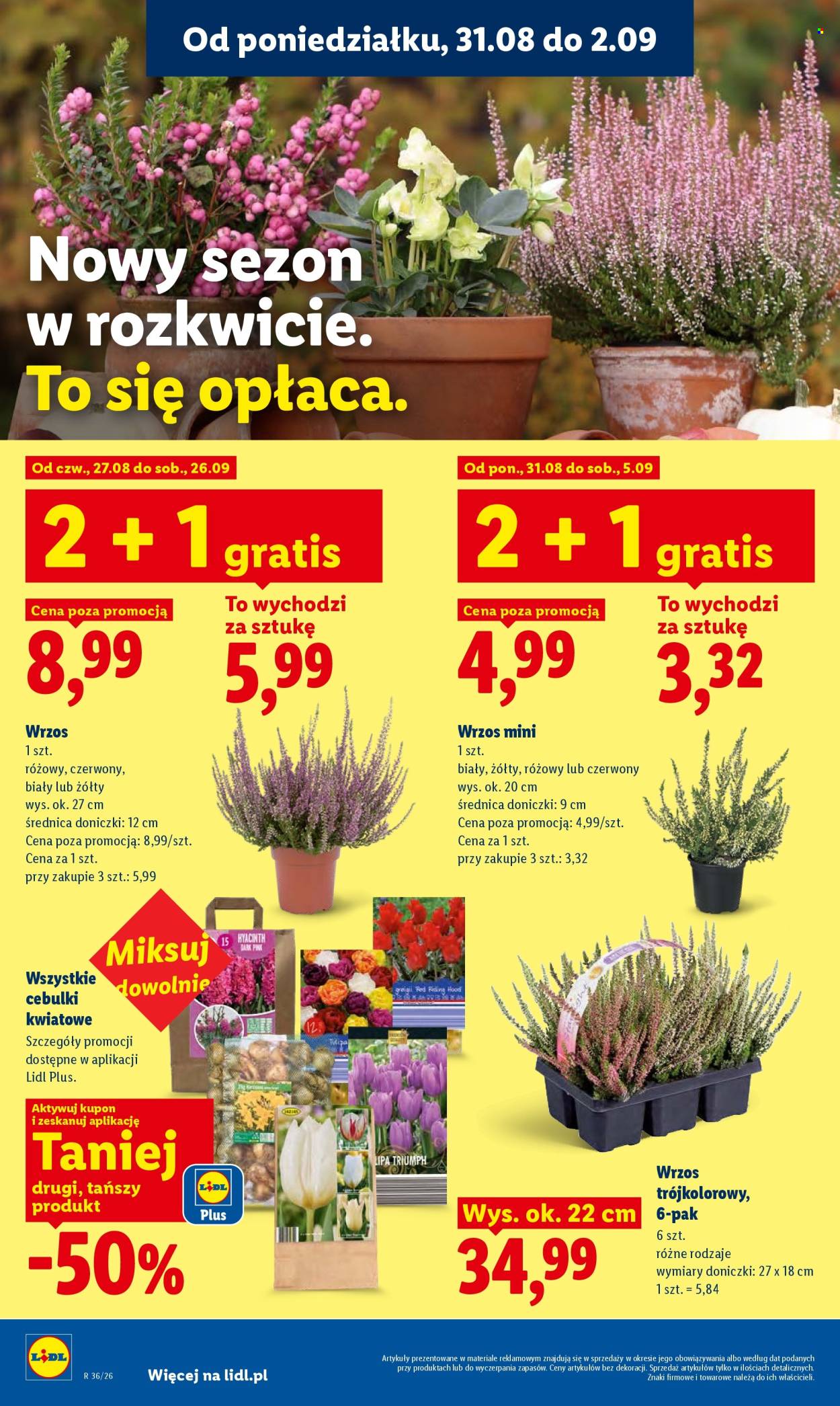 Gazetka Lidl - 31.8.2026. - 2.9.2026.. Strona 86