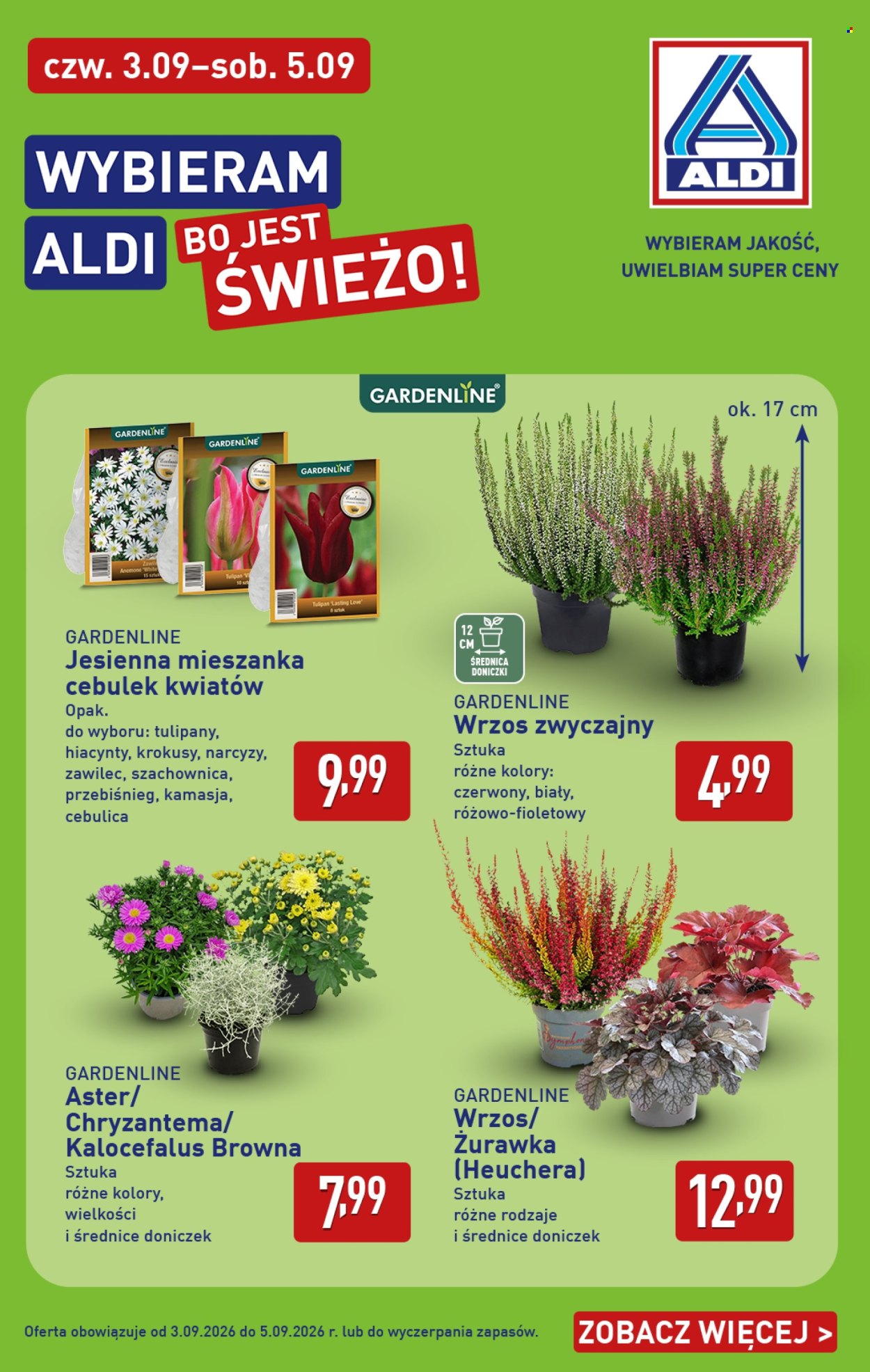 Gazetka ALDI - 31.8.2026. - 5.9.2026.. Strona 38