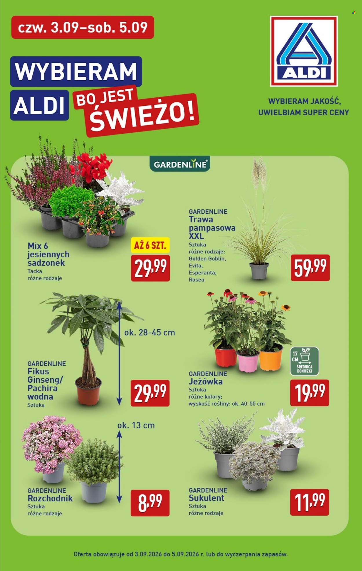 Gazetka ALDI - 31.8.2026. - 5.9.2026.. Strona 39