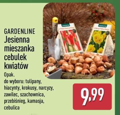 GARDENLINE Jesienna mieszanka cebulek kwiatów