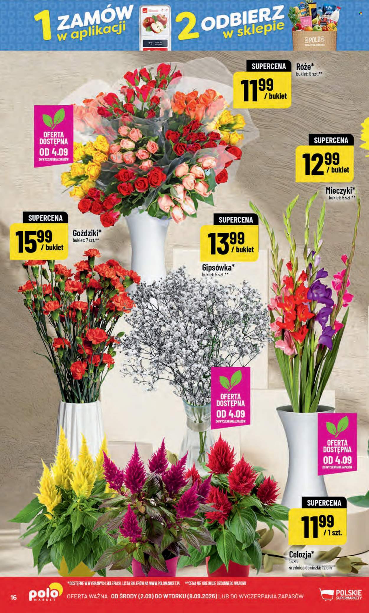 Gazetka Polomarket - 2.9.2026. - 8.9.2026.. Strona 16