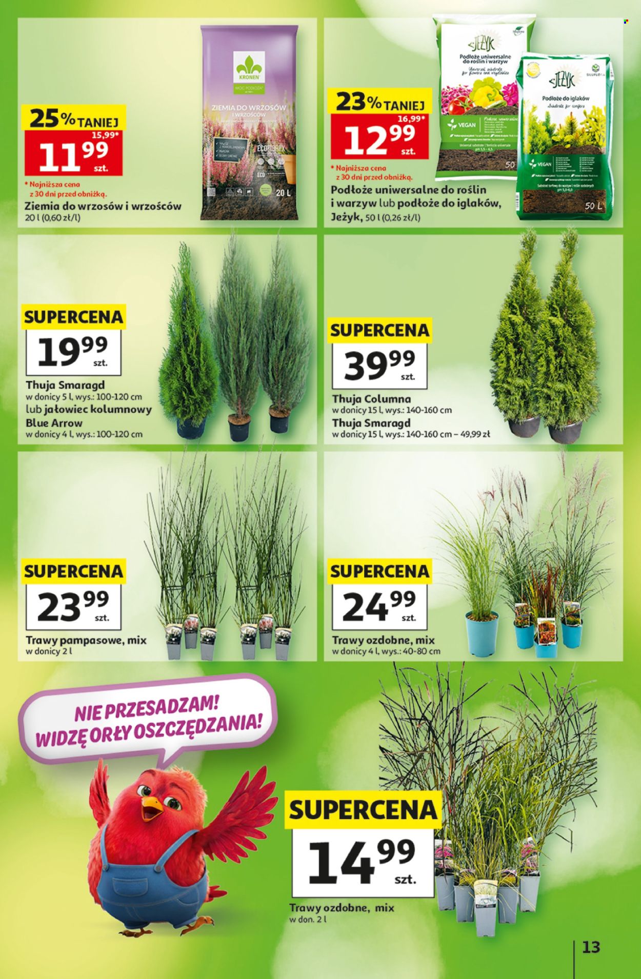 Gazetka Auchan - 3.9.2026. - 9.9.2026.. Strona 13