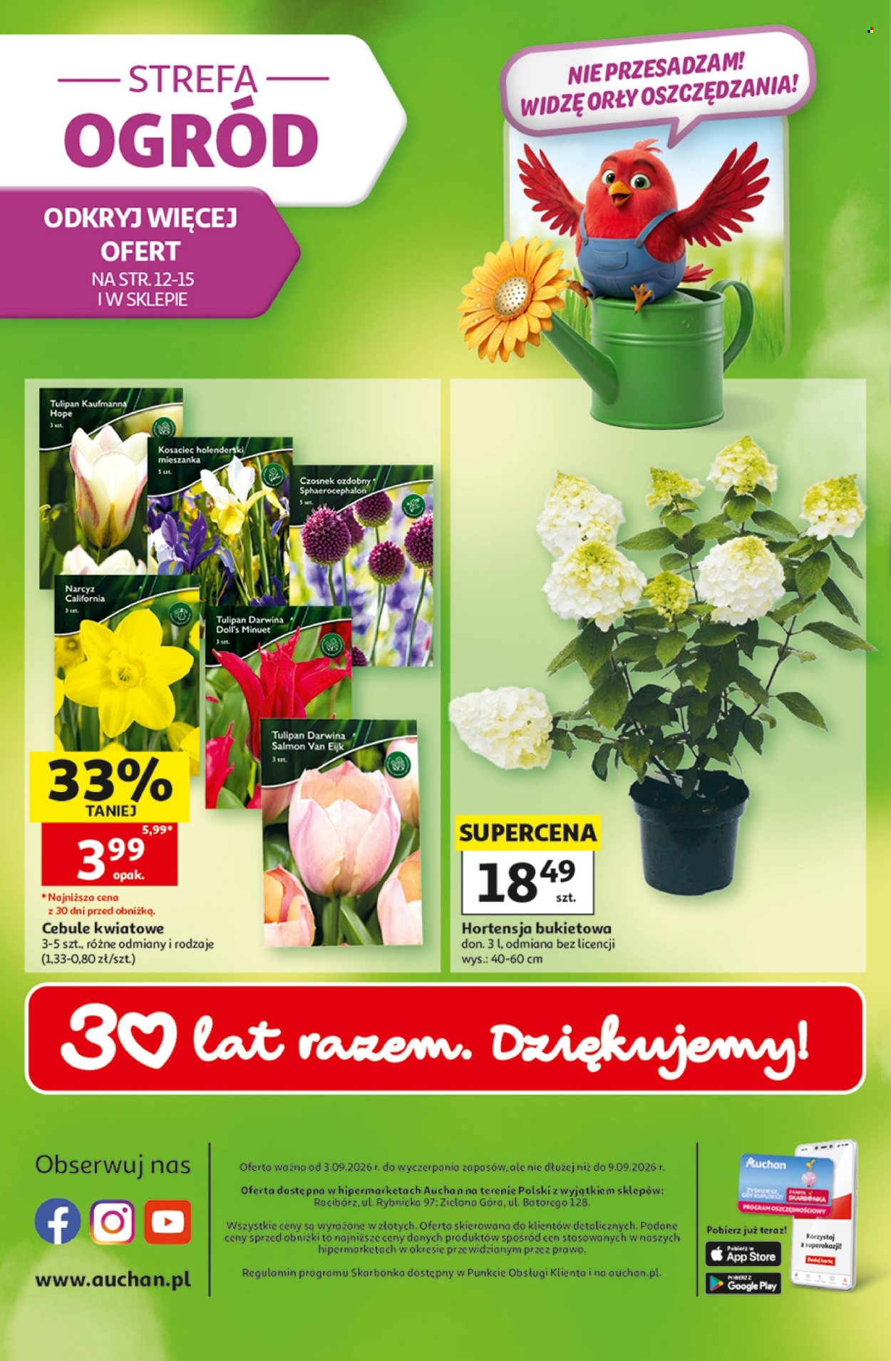 Gazetka Auchan - 3.9.2026. - 9.9.2026.. Strona 49