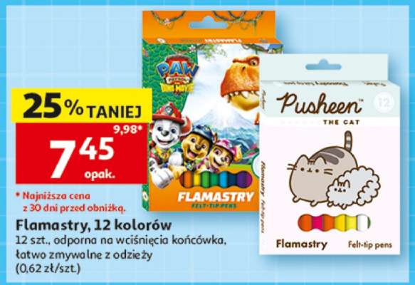 Flamastry 12 kolorów