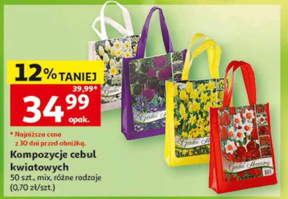 Kompozycje cebul kwiatowych