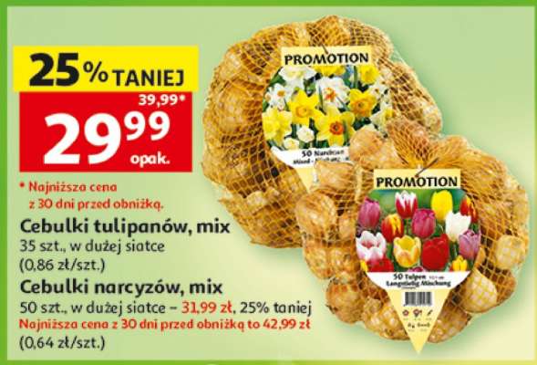 Cebulki tulipanów, mix