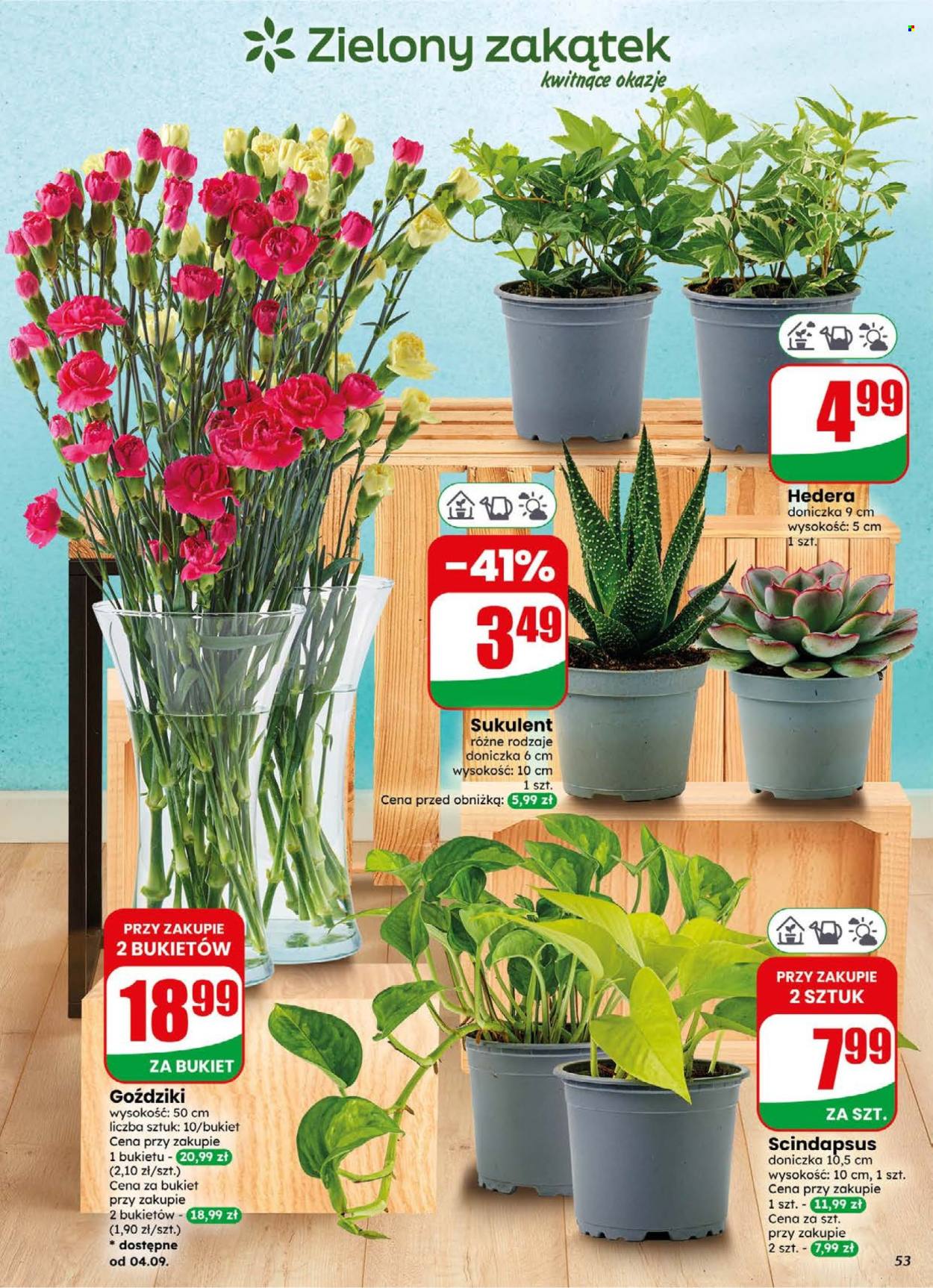 Gazetka Dino - 2.9.2026. - 8.9.2026.. Strona 53